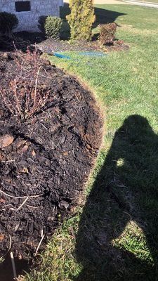 Dark mulch bed next to green lawn, with shadows cast on the grass.