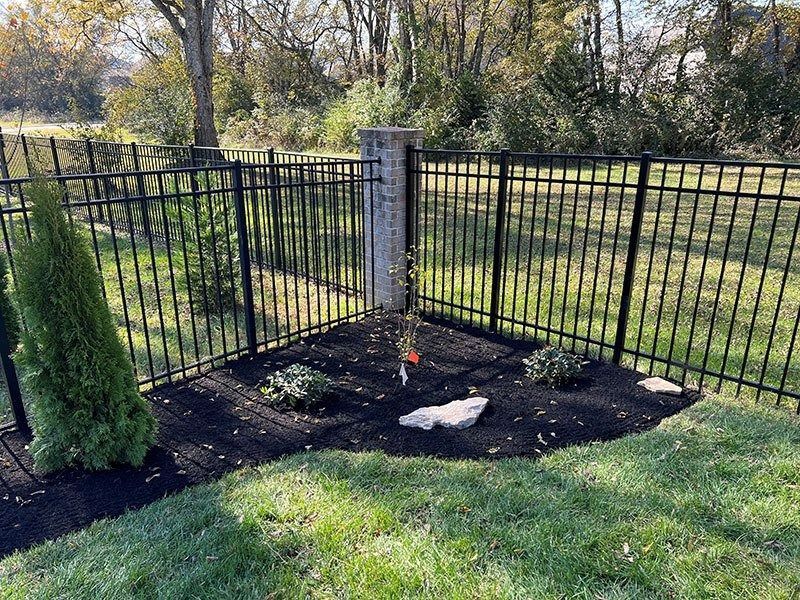 Black metal fence surrounds a mulched garden bed with small plants, stones, and a young tree.