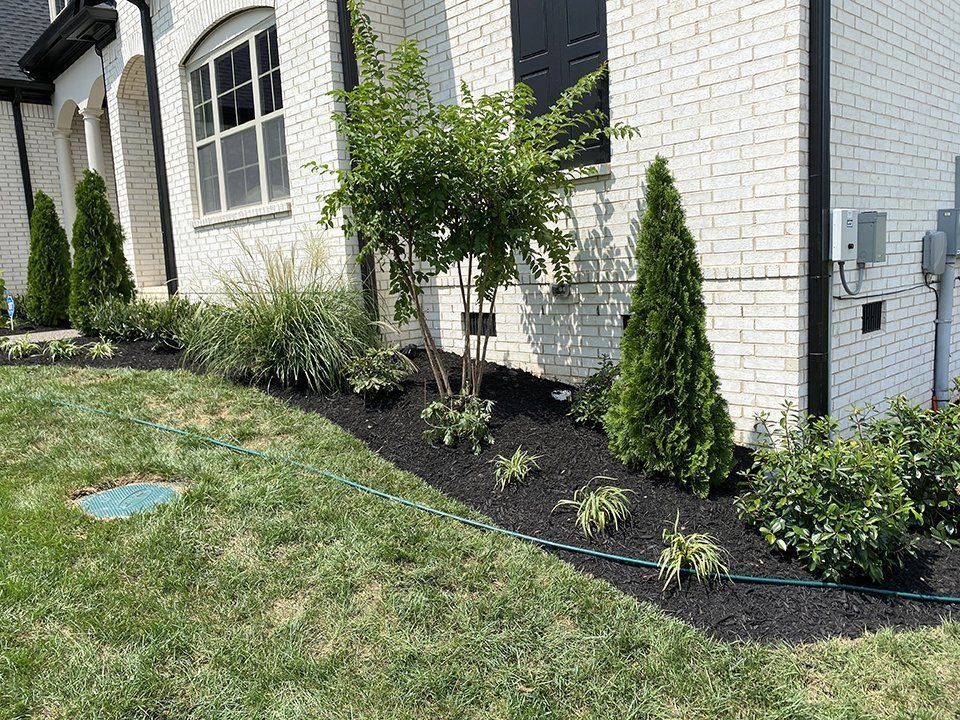 A house with a black mulched flower bed, green grass, and various plants.