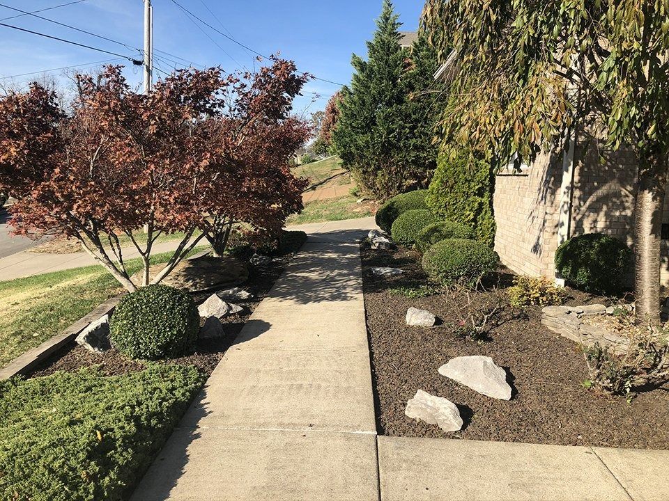 A sidewalk flanked by landscaped beds with shrubs, rocks, and trees in fall colors.