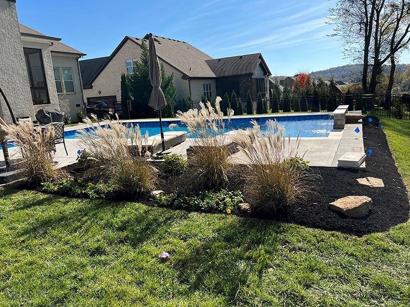 Pool area with ornamental grass, houses in background, sunny day.