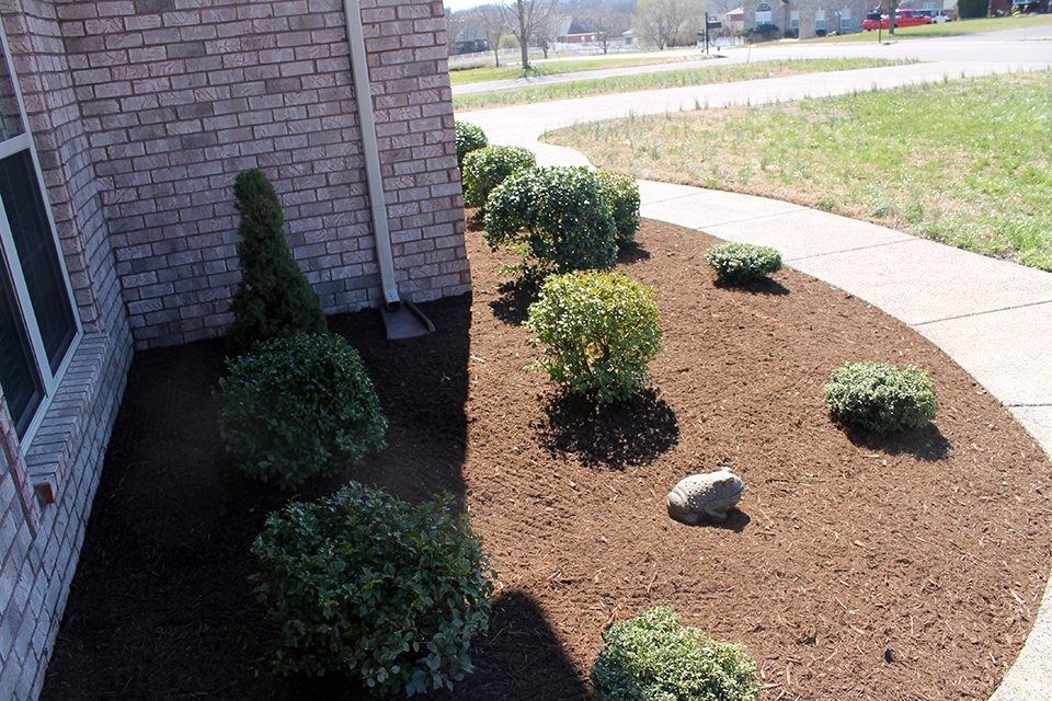 Brick house with landscaped bed of mulch and green shrubs bordering the walkway.