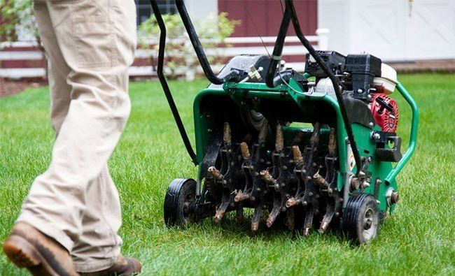 ENS Lawn Care & Landscaping LLC
