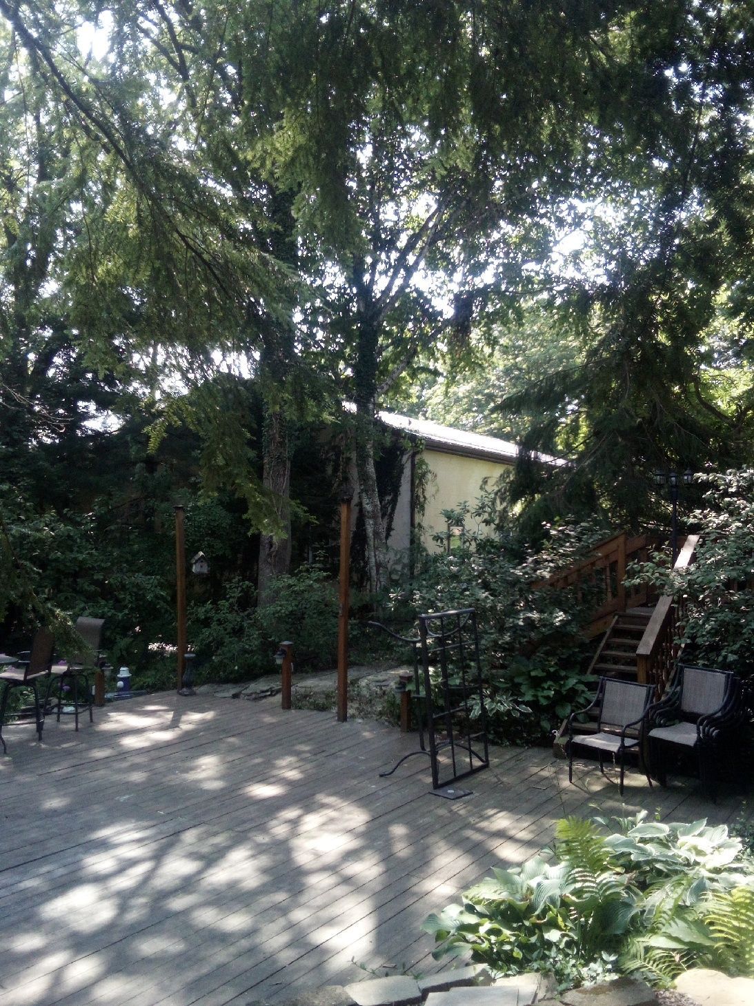 Shaded garden patio with trees, a small house, and outdoor chairs on a paved courtyard.