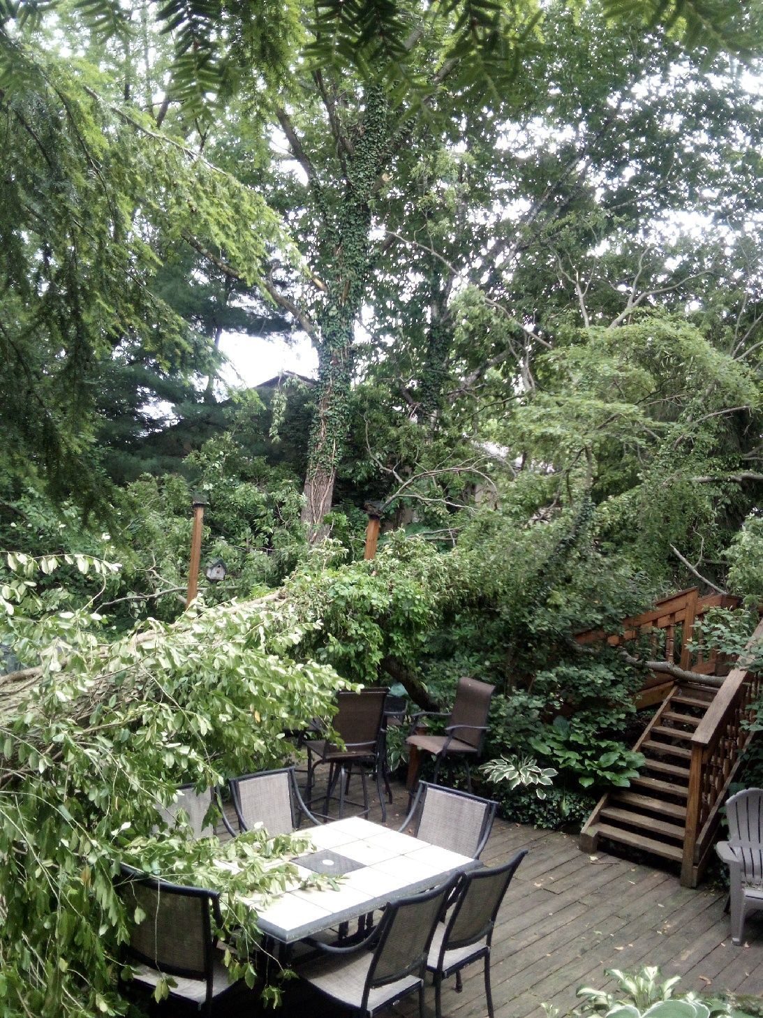 Patio dining area under dense green trees, with table, chairs, and wooden steps.