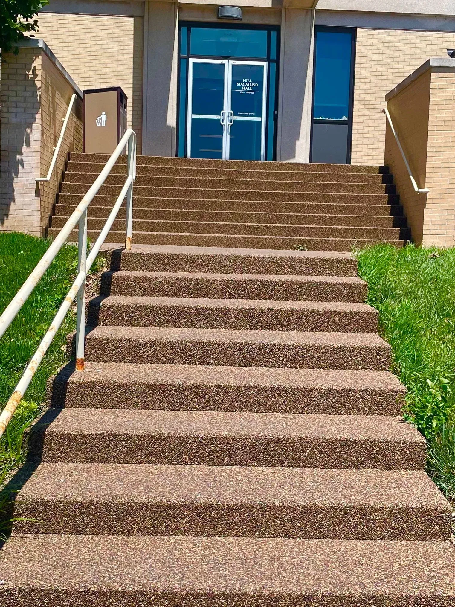 An outdoor set of concrete stairs leading up to a building entrance with glass double doors.
