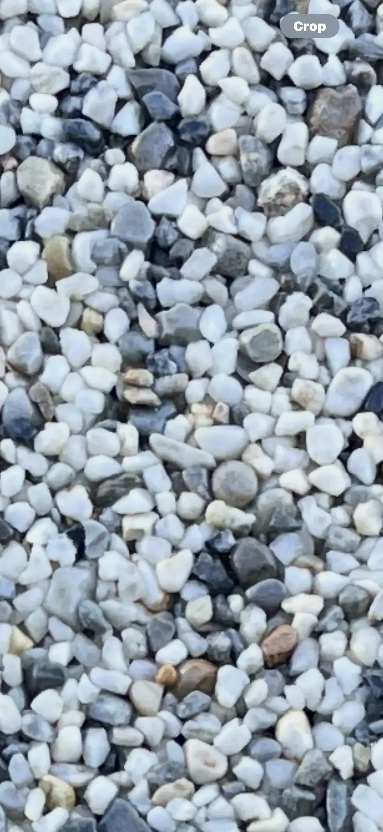 A close-up view of small, smooth pebbles in shades of white, gray, and black.