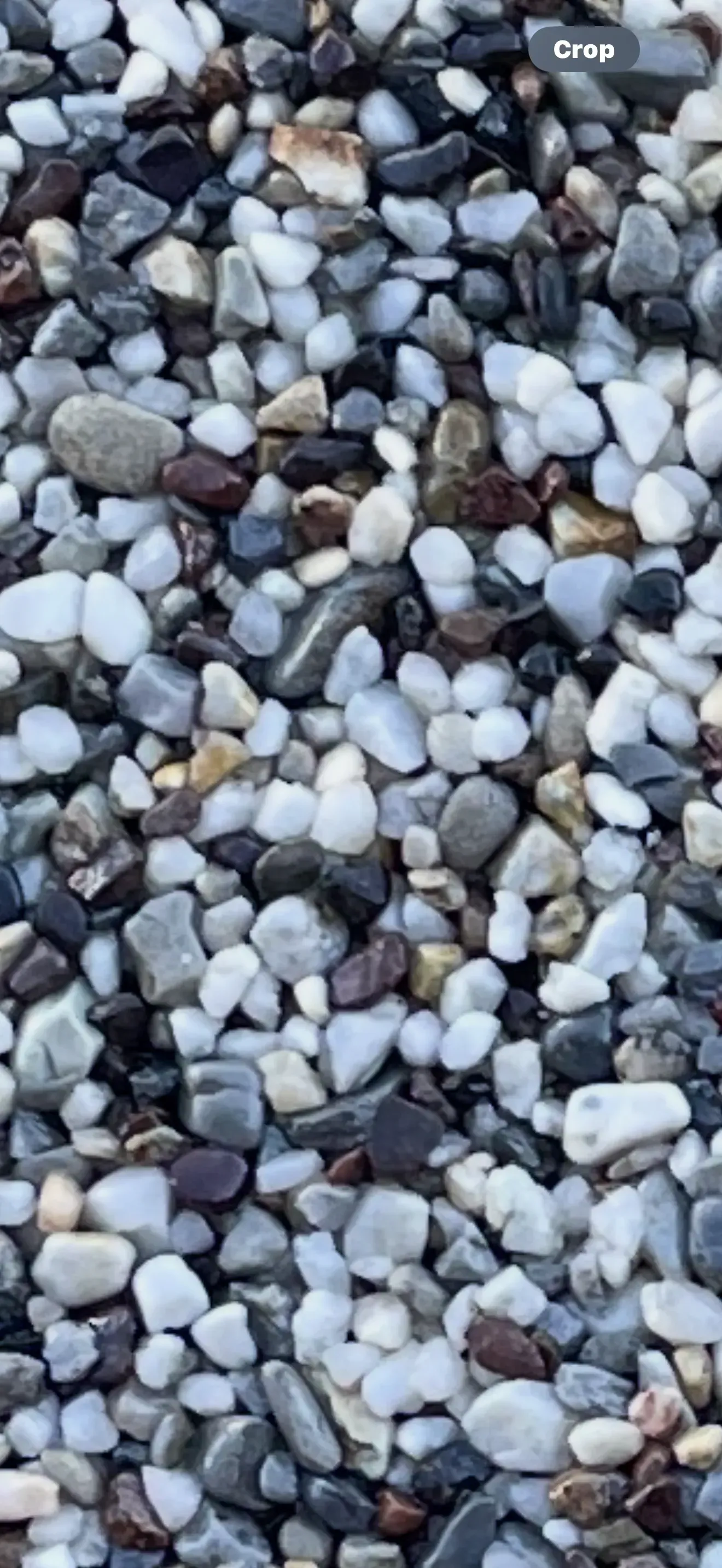 A close-up view of small, smooth, polished river pebbles in shades of white, gray, and dark brown.