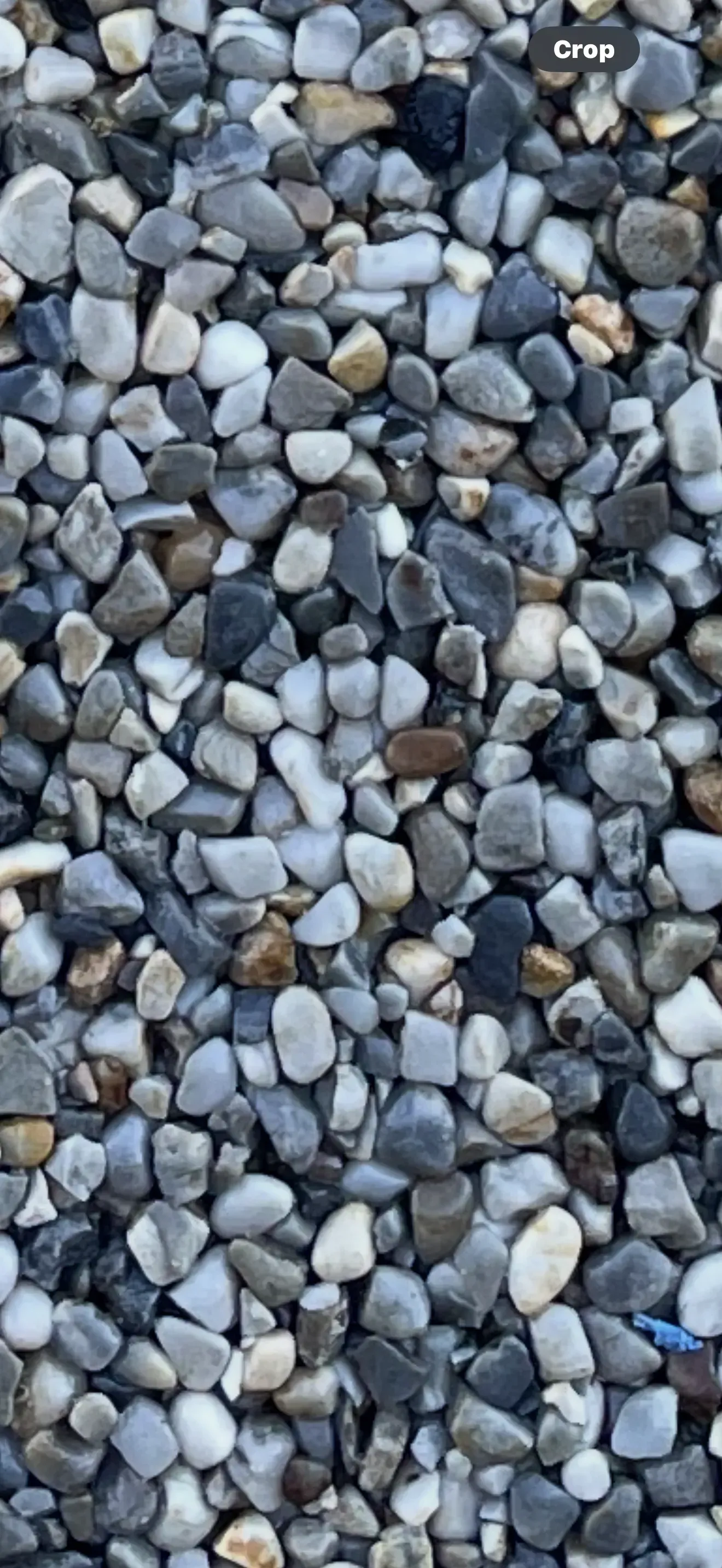 A close-up view of small, smooth, multi-colored pebbles in shades of gray, white, and tan.