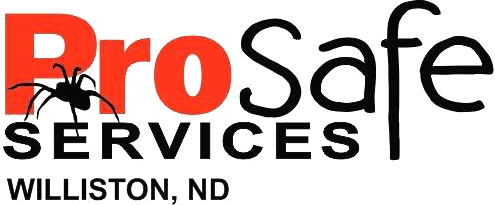 ProSafe Services Inc - Logo