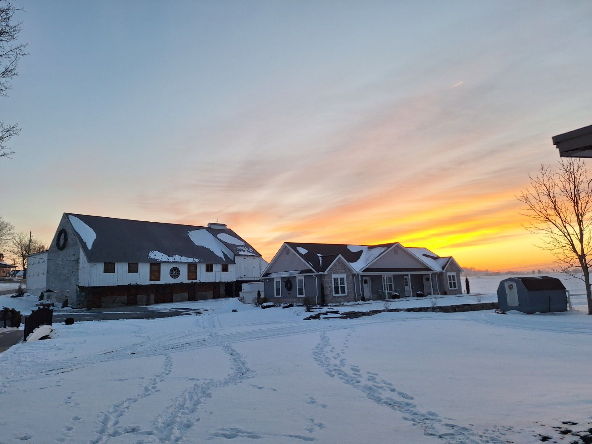 Snowy suburban homes at sunset with footprints in the snow and a pink-orange sky