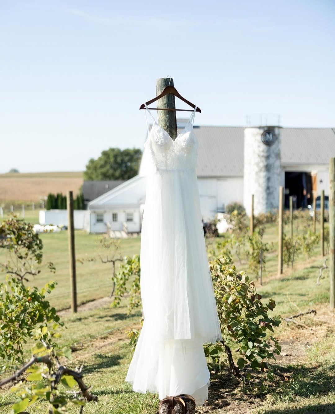 White wedding dress hanging on a post in a vineyard with a farmhouse in the background