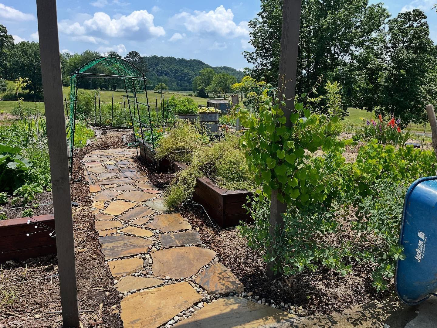 Stone path through a garden with raised beds and a distant hillside under a blue sky.
