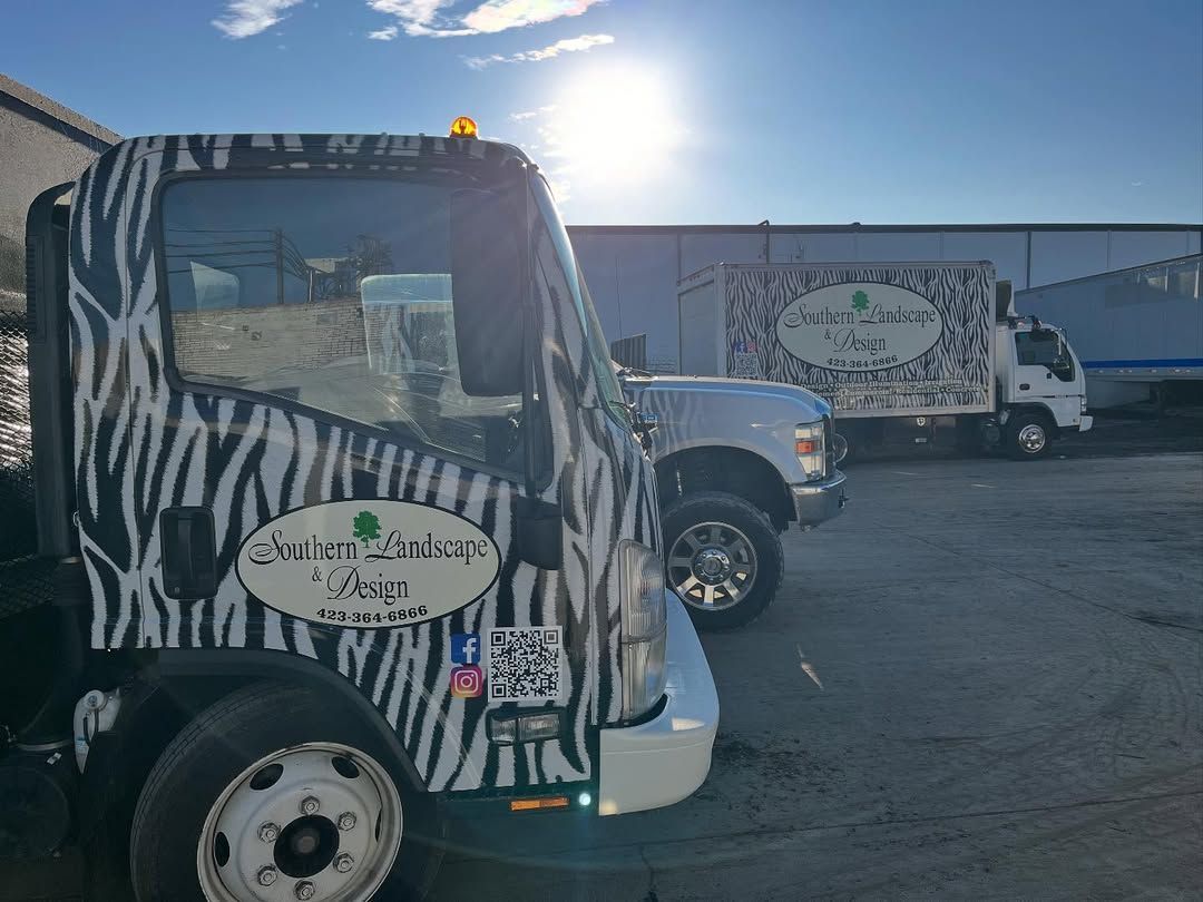 Three delivery trucks with zebra-striped wraps parked outside, sunny day, company logo visible.