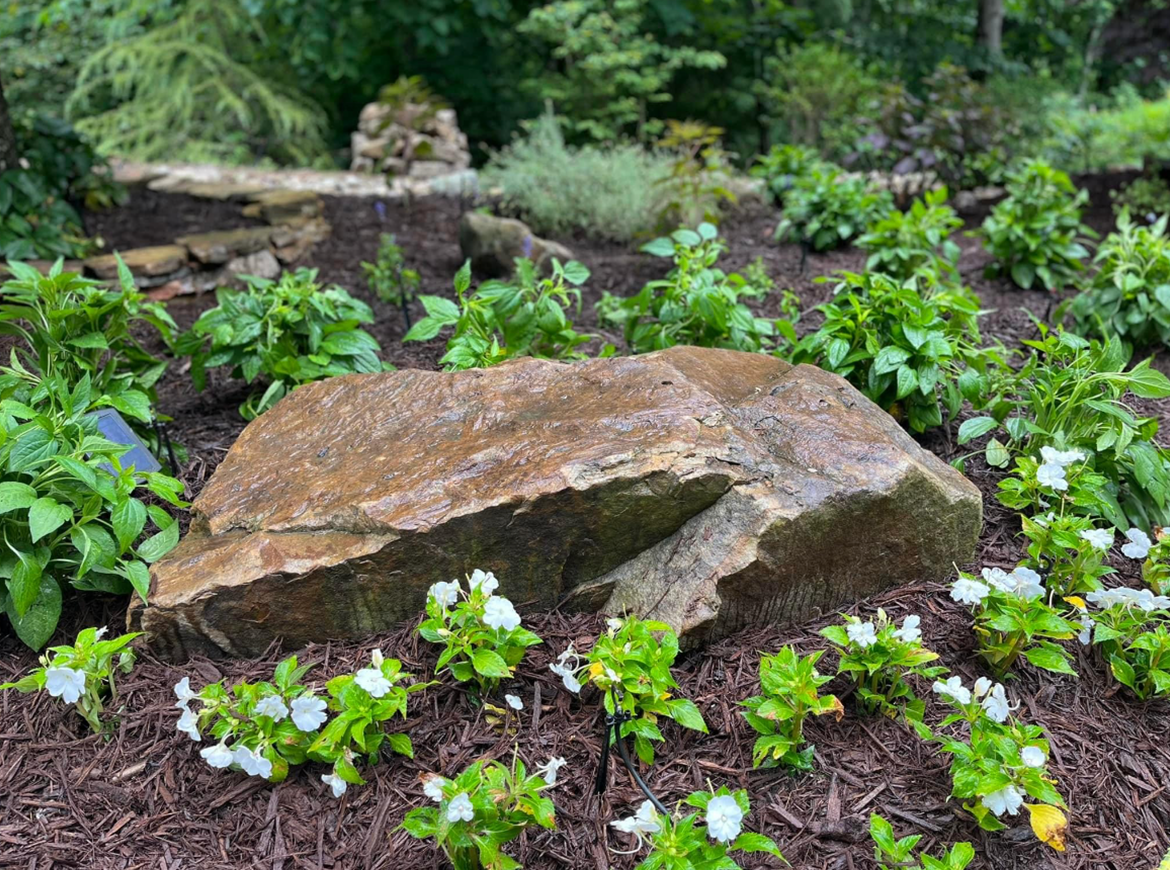 Hardscape and landscape design