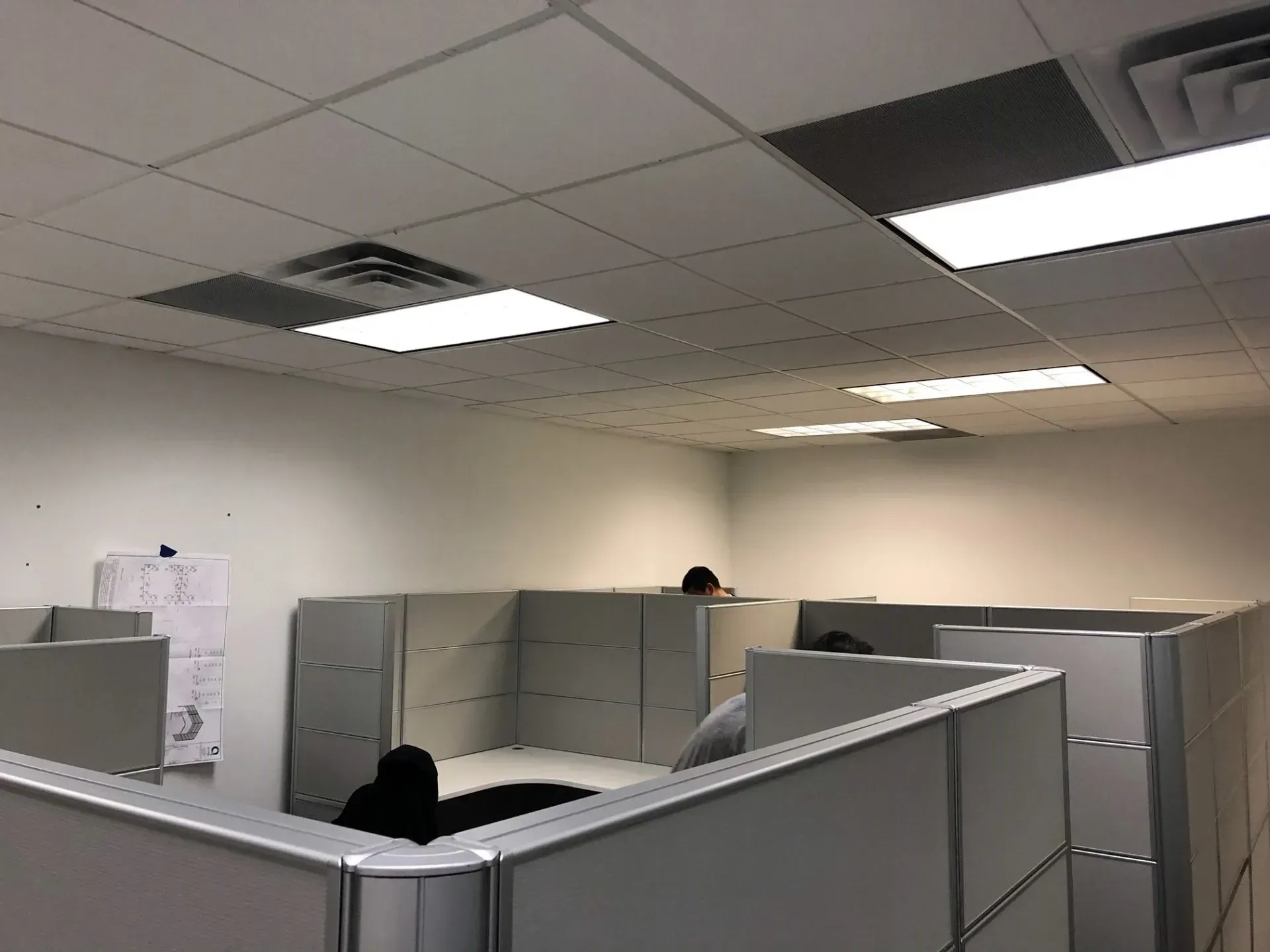 Empty office cubicles with gray partitions and drop ceiling lights.
