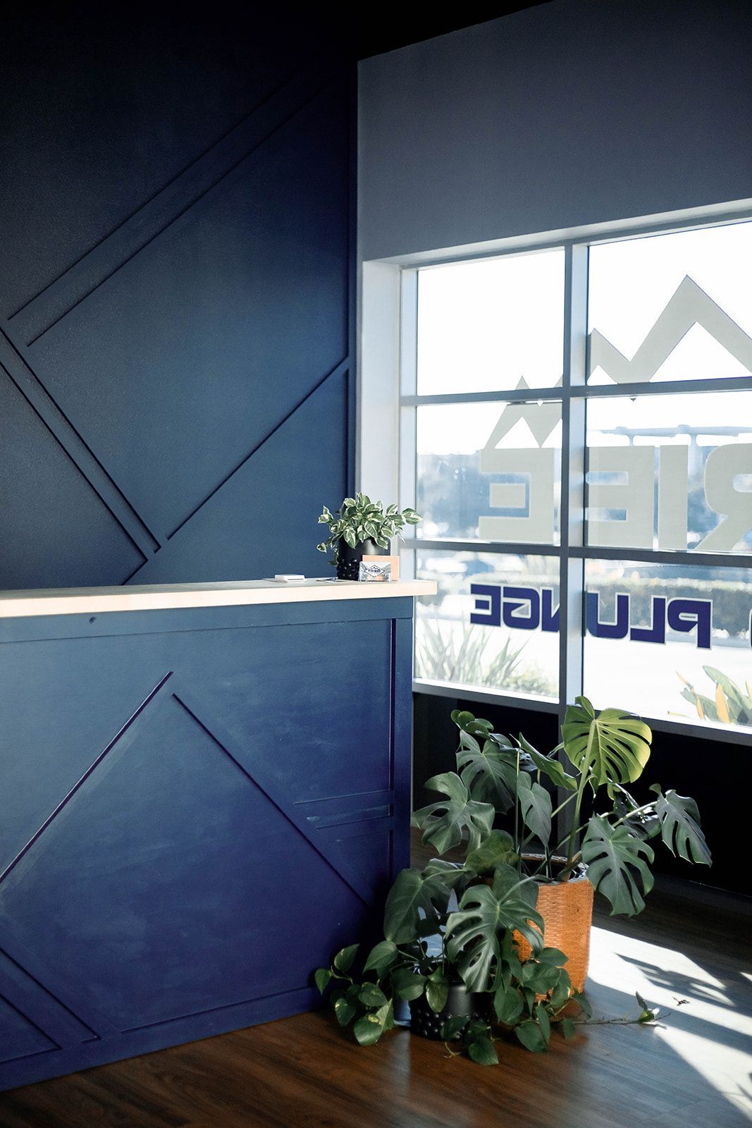 Reception desk with geometric navy paneling, plants, and large window with the word 