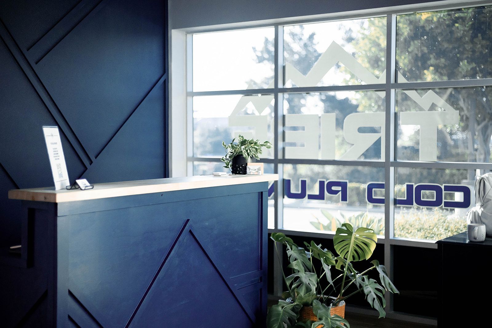 Reception desk with blue paneling and wooden countertop, large window, and plants.