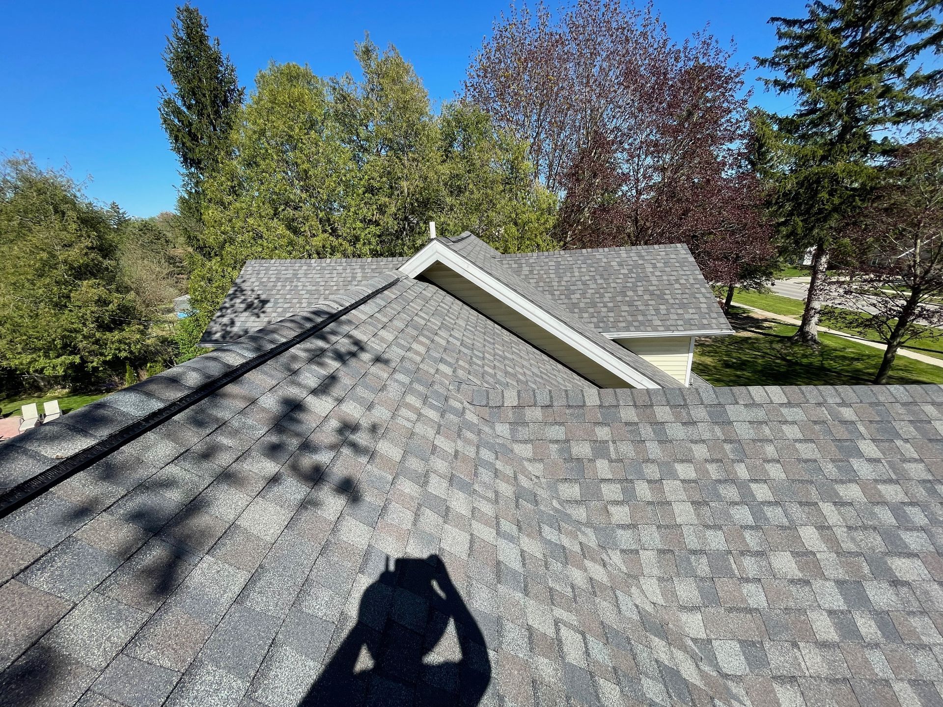 View from a rooftop, looking at asphalt shingles on a sunny day with trees in the background.
