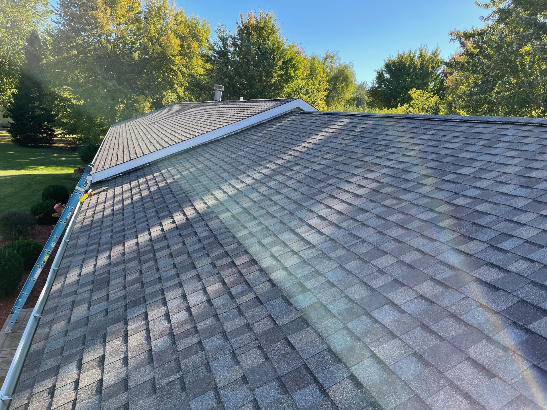 Gray shingle roof, sunlight across it. White trim along the ridge, green trees in background under blue sky.