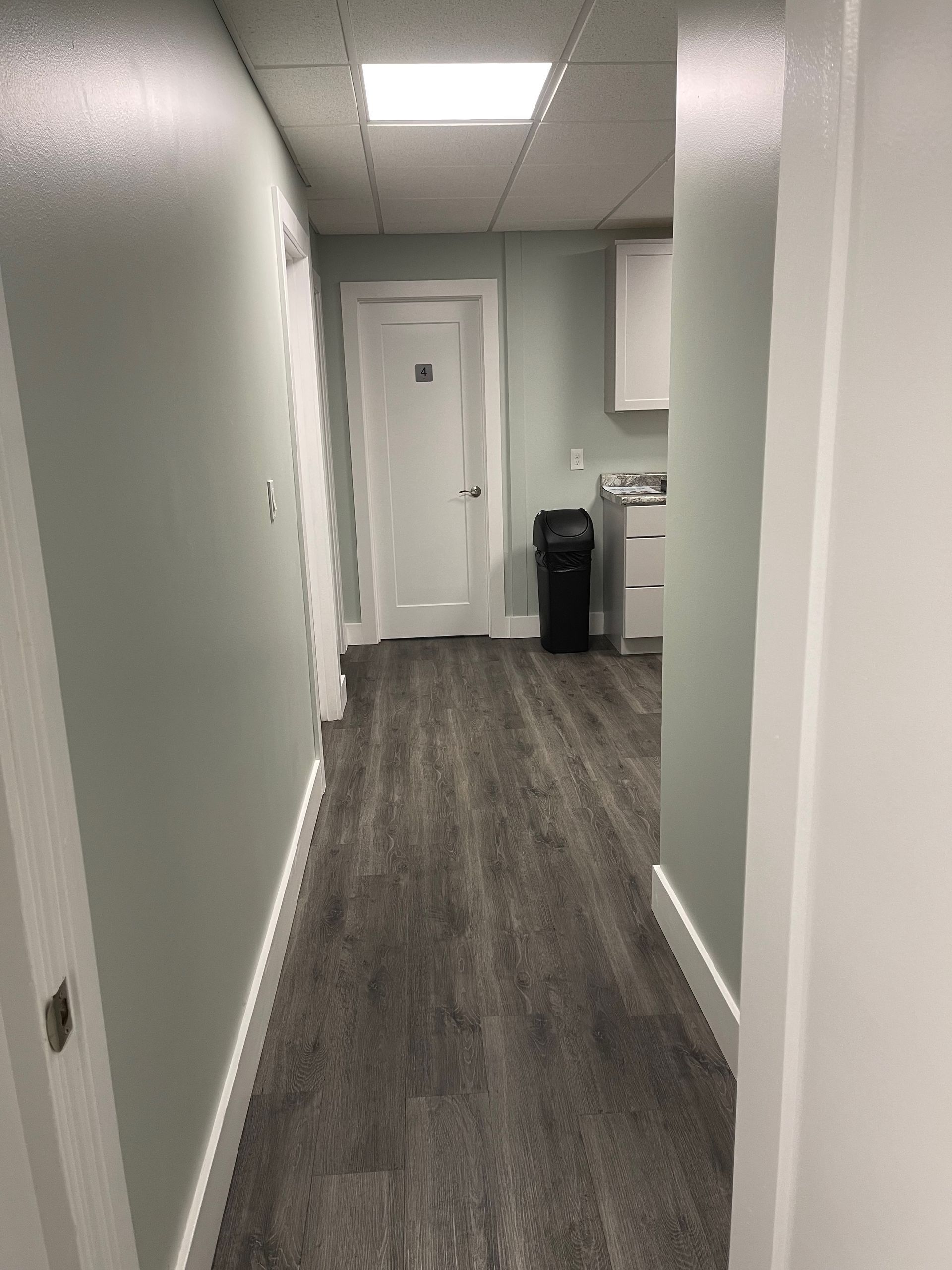 Narrow hallway with light green walls, gray wood-look floor, and white trim. A closed door is at the end.