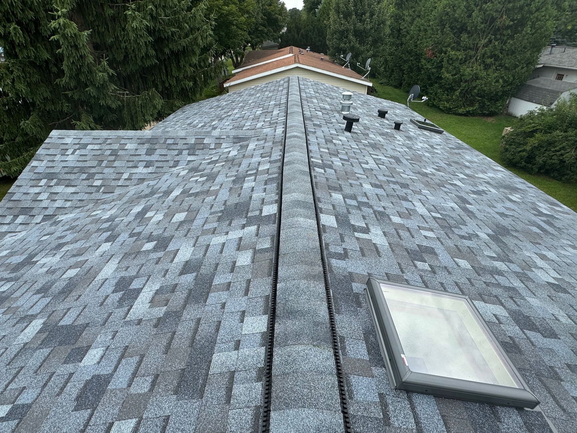 Gray asphalt shingle roof with a skylight, vent pipes, and trees in the background.
