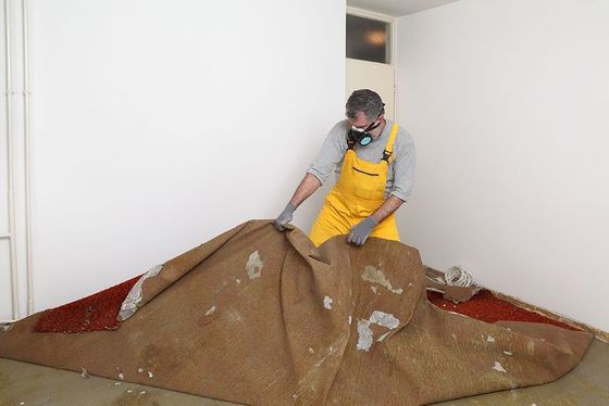 removing old carpet in room