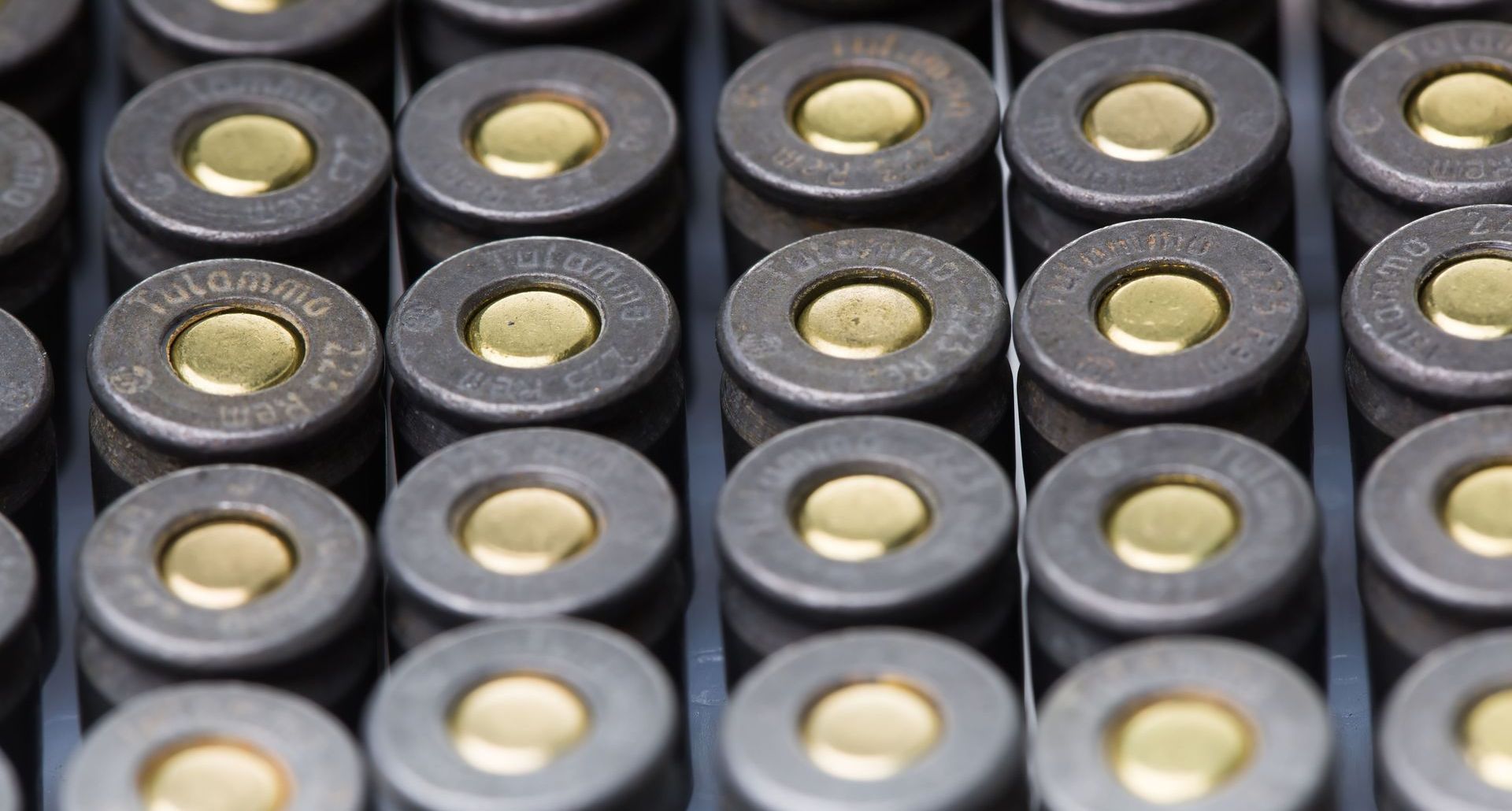 Close-up of rows of dark, cylindrical ammunition with brass-colored primers.