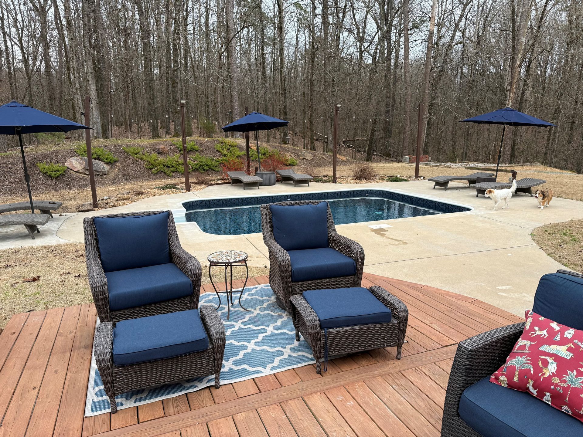 Backyard patio with blue lounge chairs, umbrellas, and a small pool surrounded by trees.