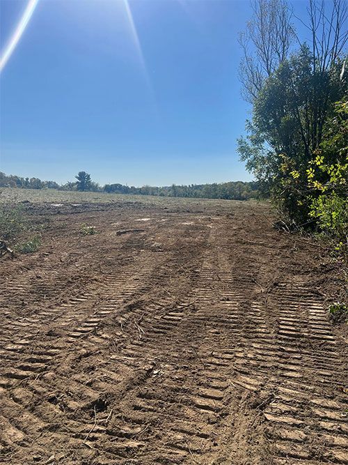 Cleared dirt field with tractor tracks under a blue sky and green trees.