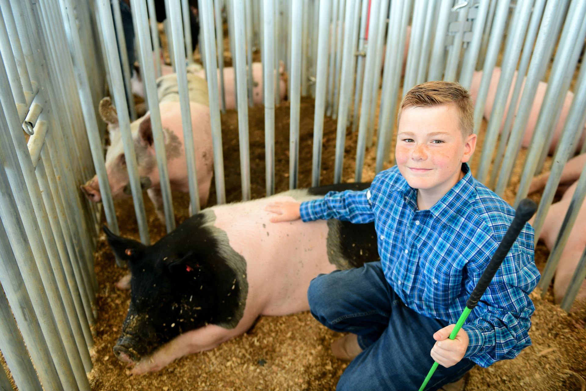 Umatilla County Fair | Livestock Auction | Carnival | Vendors ...