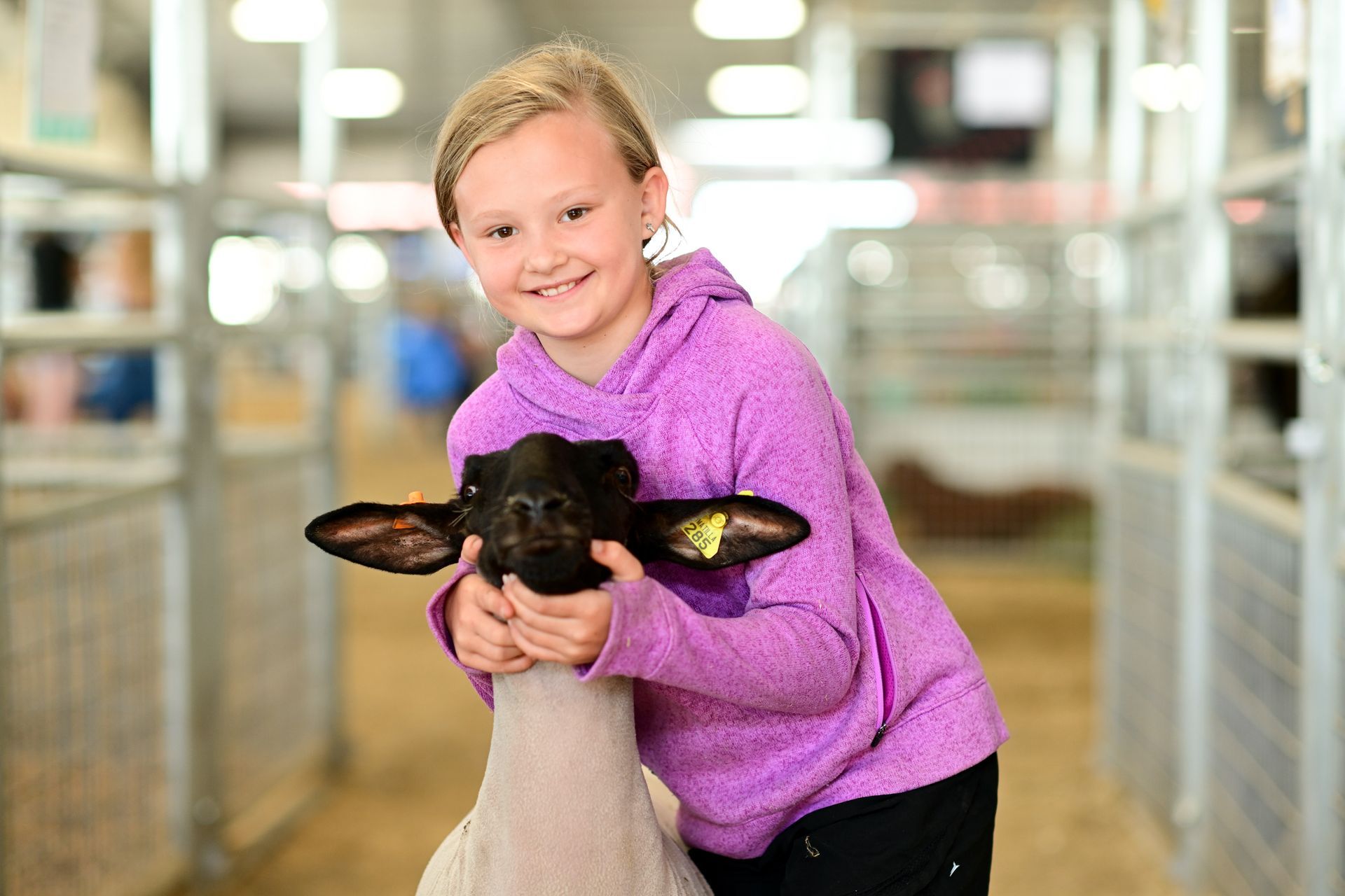 Umatilla County Fair | Livestock Auction | Carnival | Vendors ...