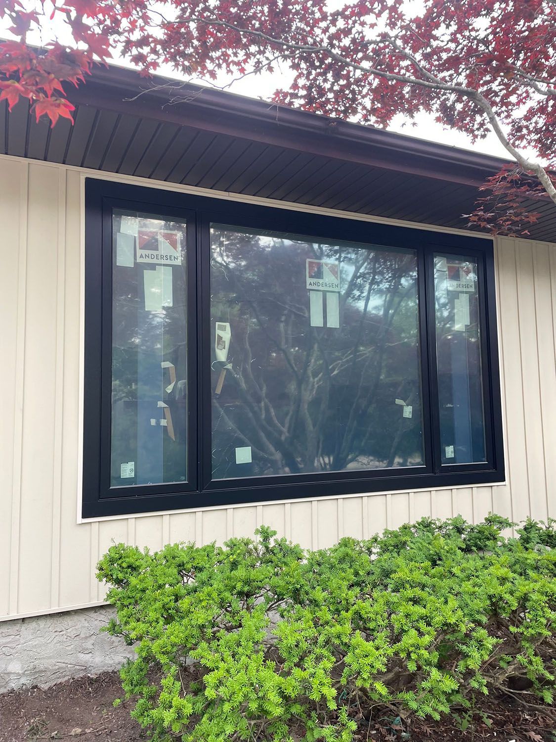 Exterior window with black trim on a beige building, partly framed by red leaves and green shrubs.