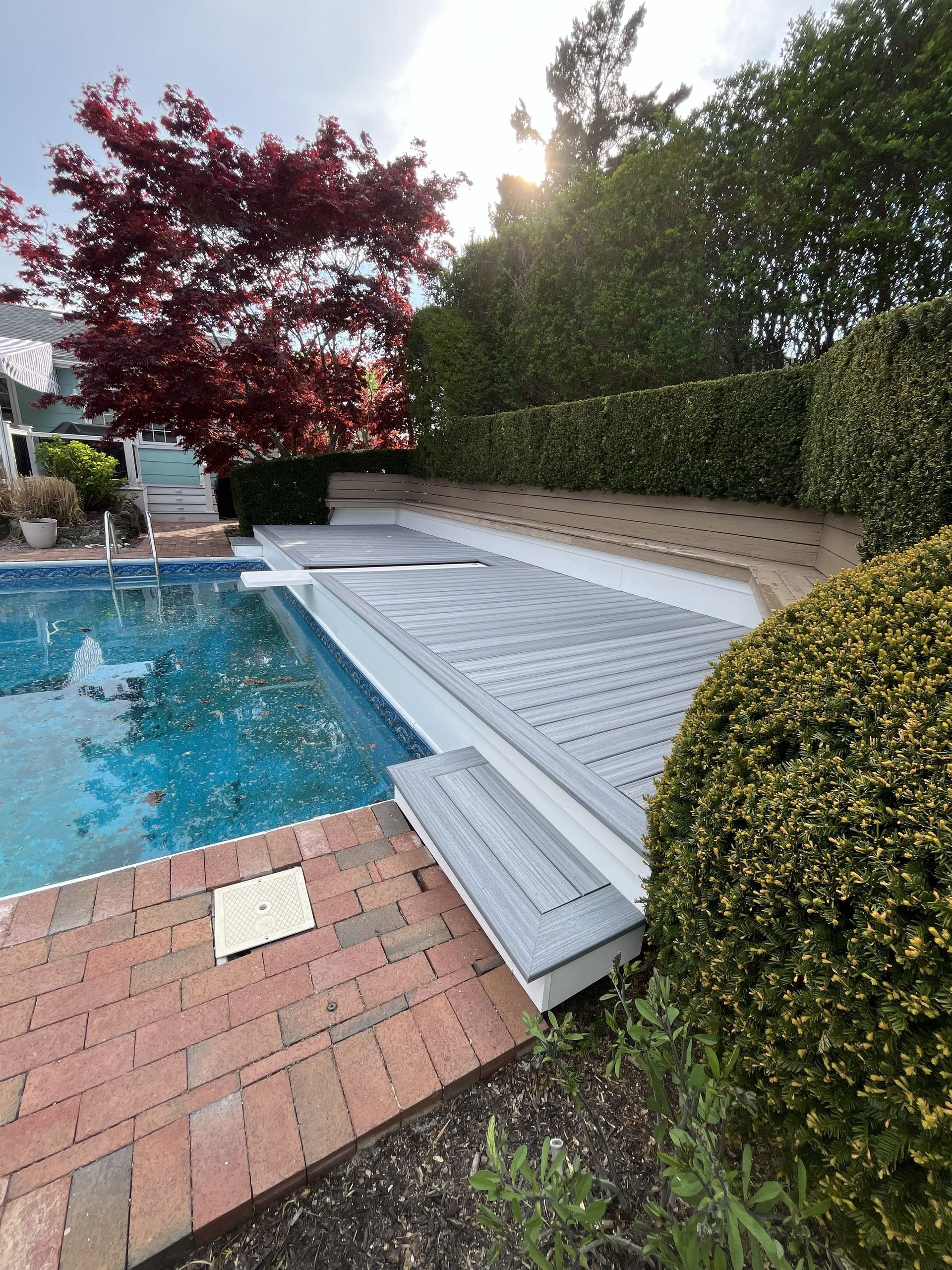 Backyard pool with brick patio, white ramp, and hedges beside a red-leaf tree.