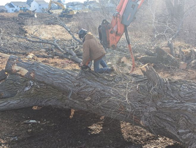 Worker in tan jacket on a large tree trunk, using an excavator at a construction site.