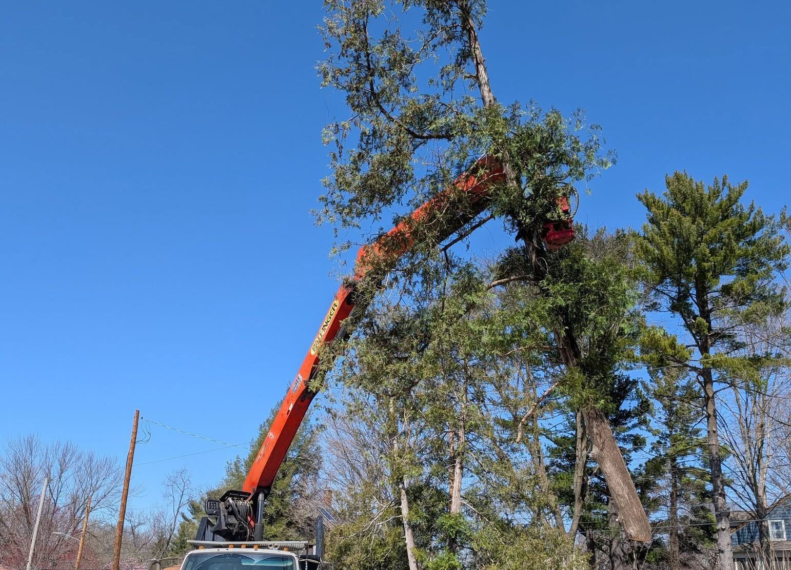 Outdoor Pros Tree Service