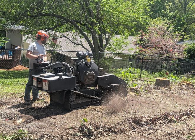 Person operating a small black utility vehicle in a leafy yard, kicking up dirt while moving forward