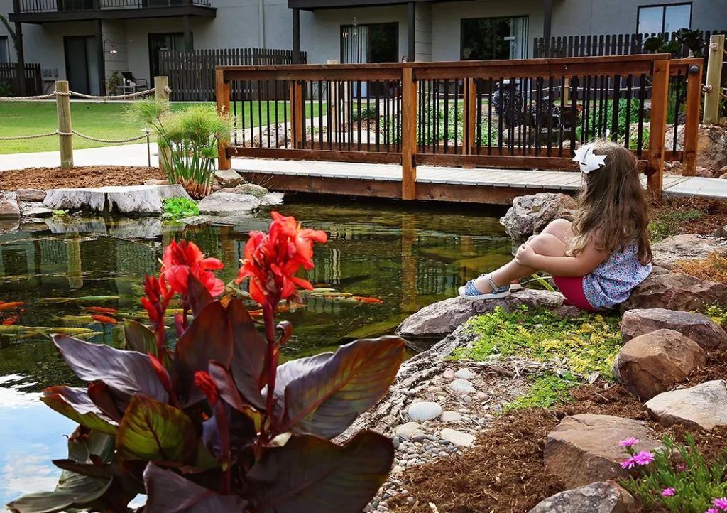 Backyard pond design with wood bridge