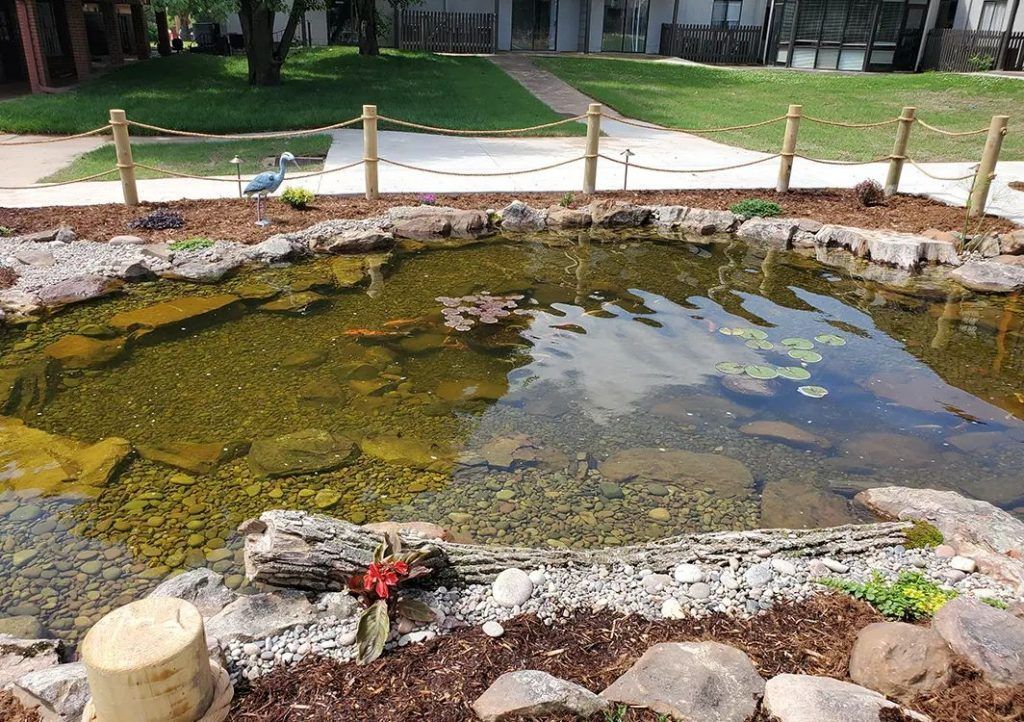 Large shallow backyard pond design with rope safety edge