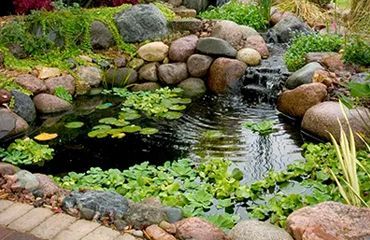 A pond surrounded by rocks and water lilies in a garden.