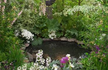 A pond surrounded by flowers and trees in a garden.