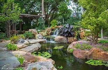 A pond with a waterfall in the middle of a garden surrounded by rocks and trees.