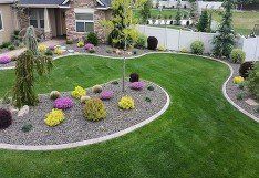 Beautify your lawn