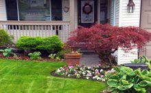 Front yard landscaping with small tree