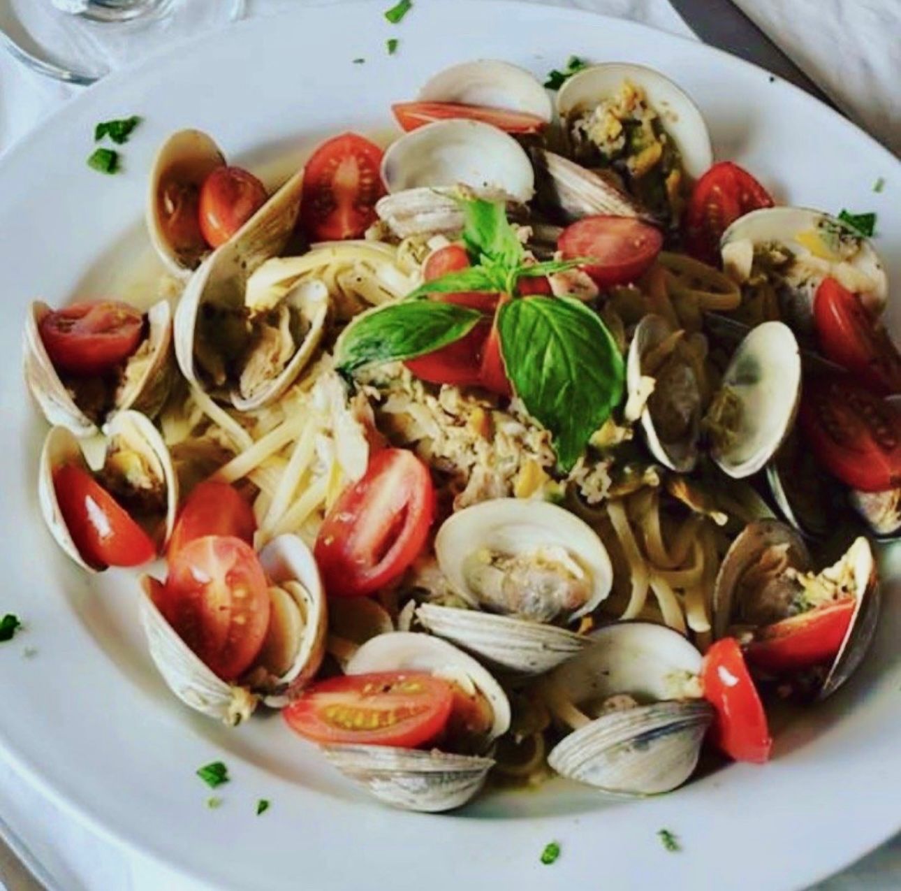 Pasta with clams, cherry tomatoes, and basil on a white plate.