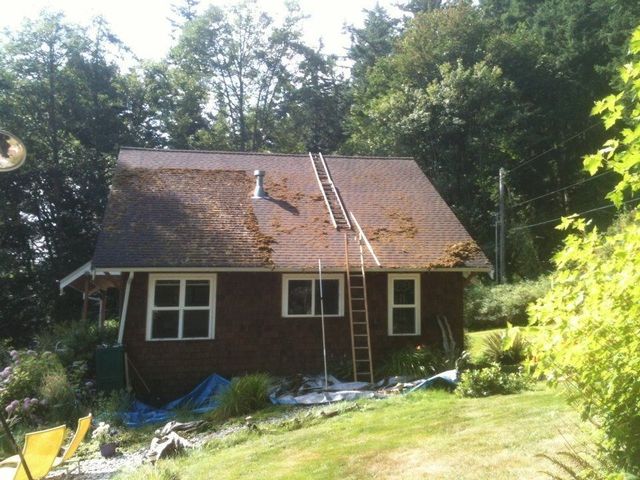 Small brown house with a ladder on the roof, surrounded by trees and sunlight