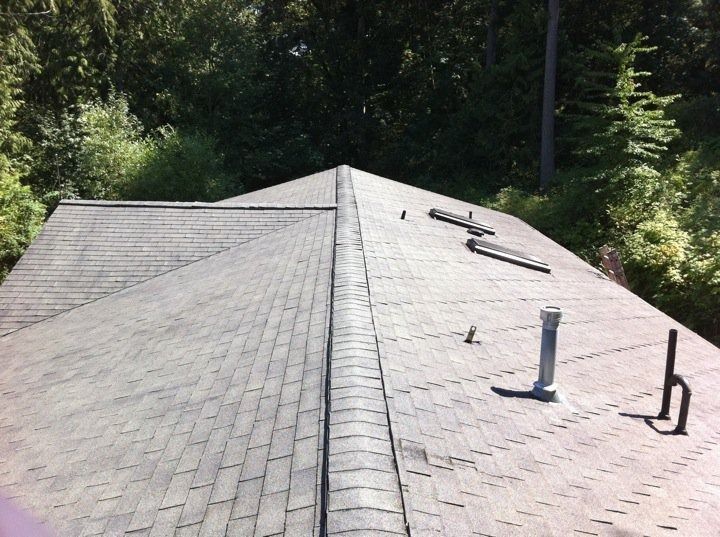 Shingled rooftop with vents and a wooded treeline in the background.