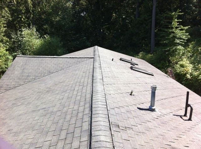 Shingled rooftop with vents and a wooded treeline in the background.