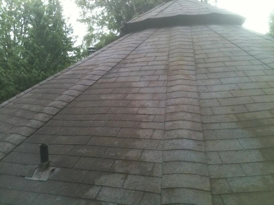 Weathered shingled roof with a small black vent, surrounded by trees under an overcast sky