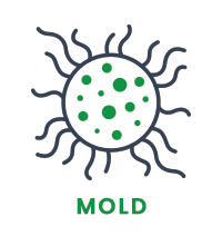 Mold